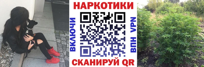 Виды наркоты Никольское МАРИХУАНА  Меф  Alpha-PVP  ГАШ  Cocaine 