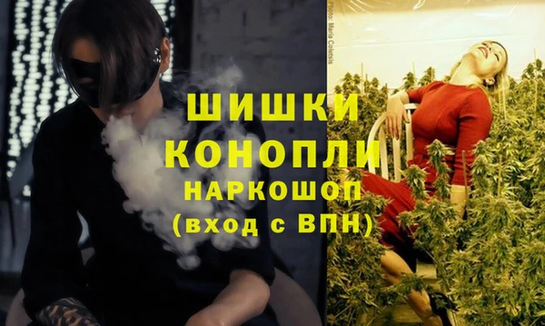 mix Белокуриха