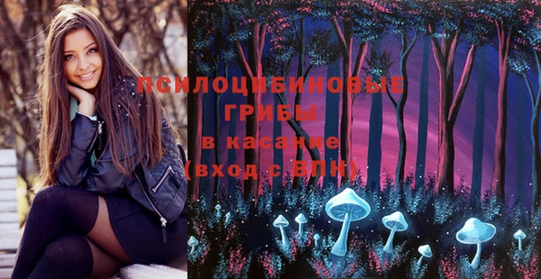 mix Белокуриха
